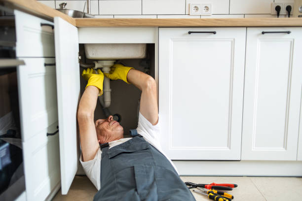 Best Local Plumber Services  in Tukwila, WA